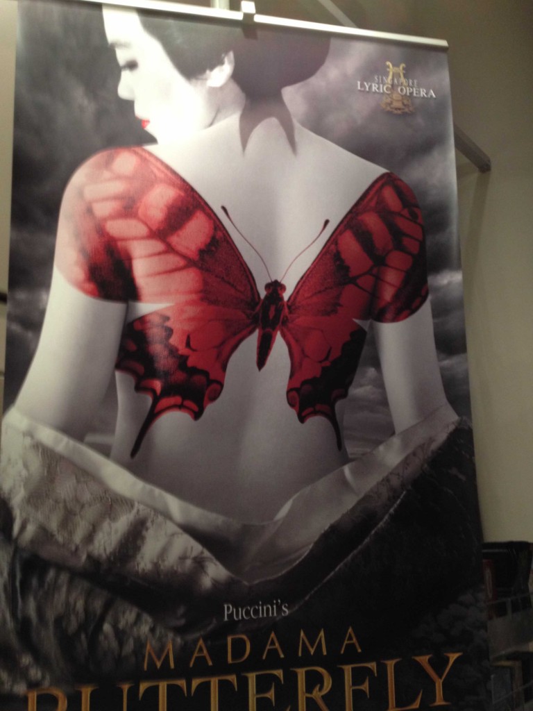 butterfly